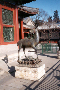 Beijing