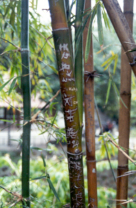 Kowloon Park