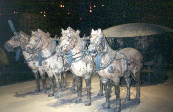 Terra Cotta