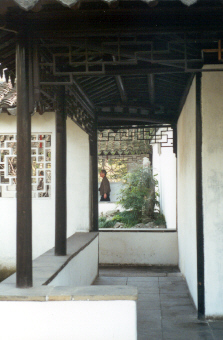 Zhou Zheng